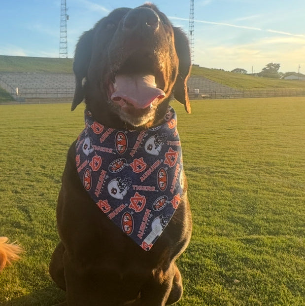 Go Tigers!