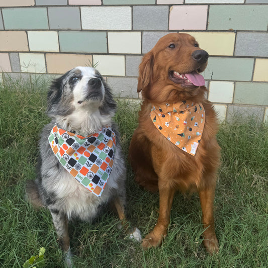 I Scream, You Scream