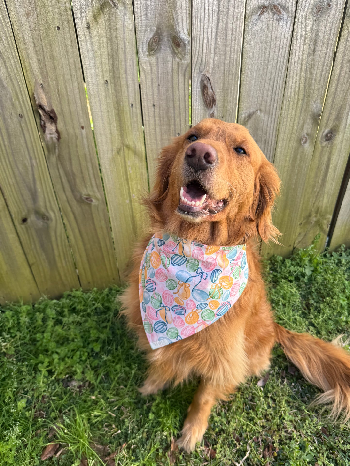Easter Bows