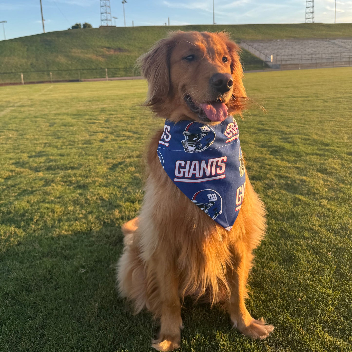 Go Giants!