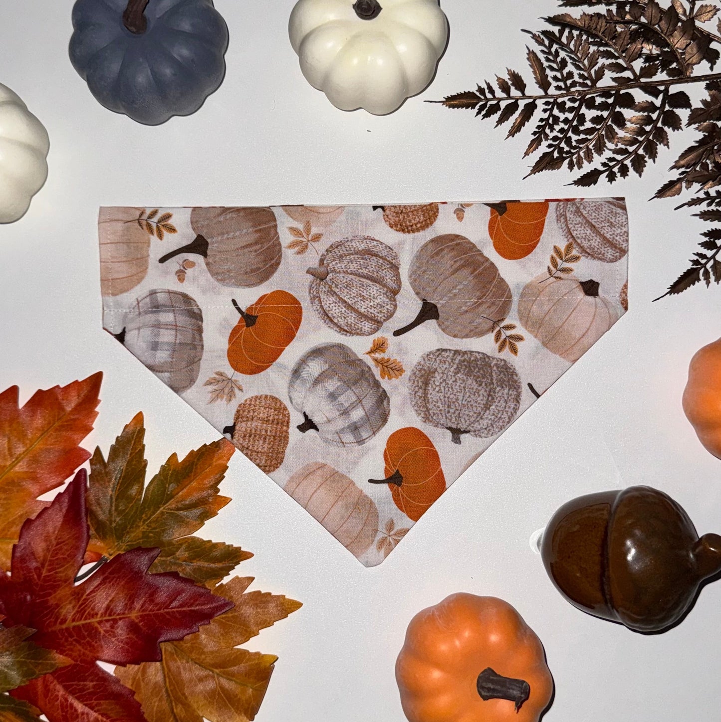 Fall Bows