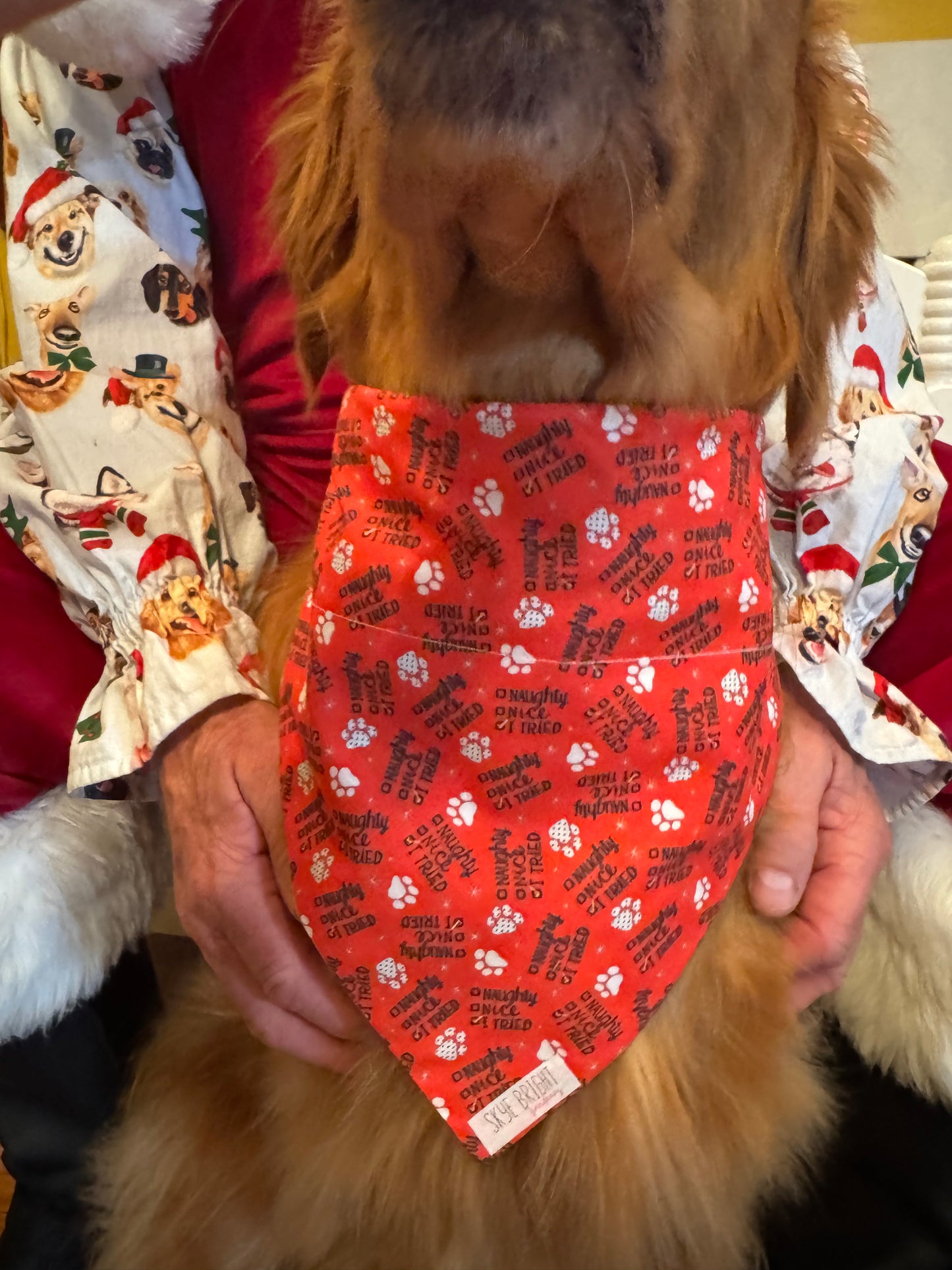 Naughty Nice, I Tried