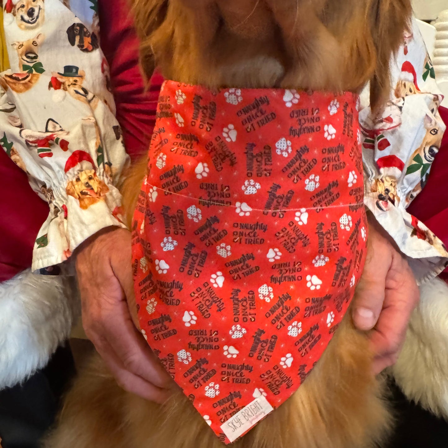 Naughty Nice, I Tried