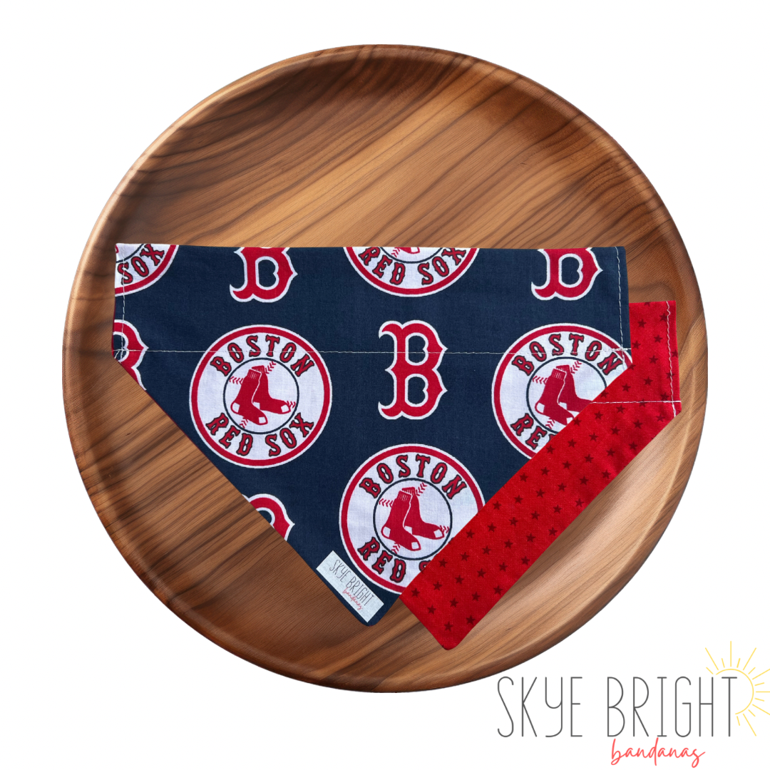 Go Red Sox!
