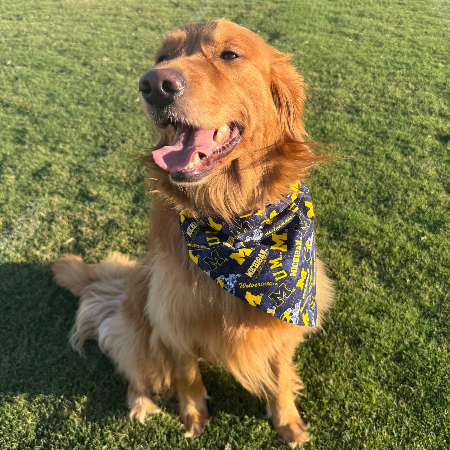Go Wolverines!
