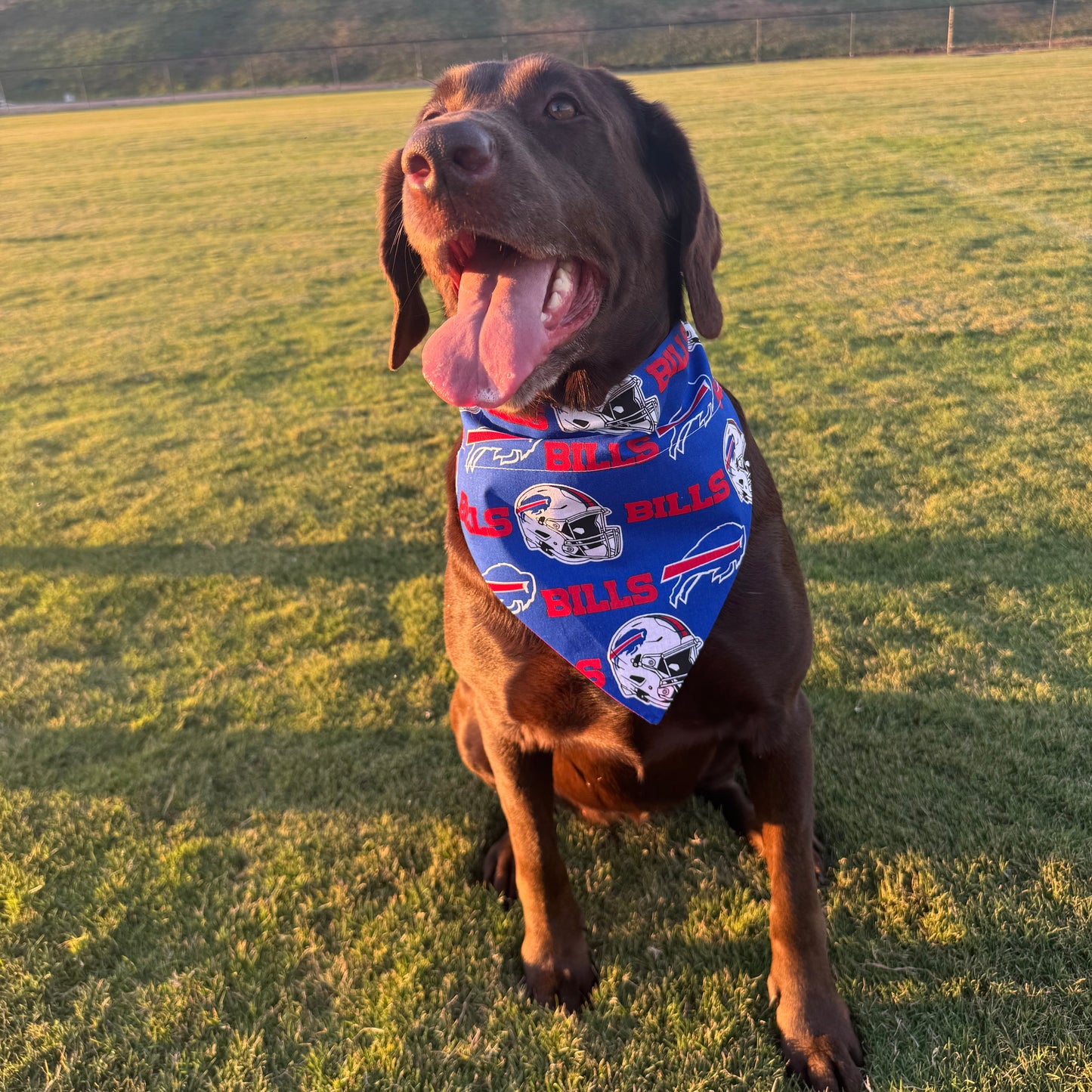 Go Bills!
