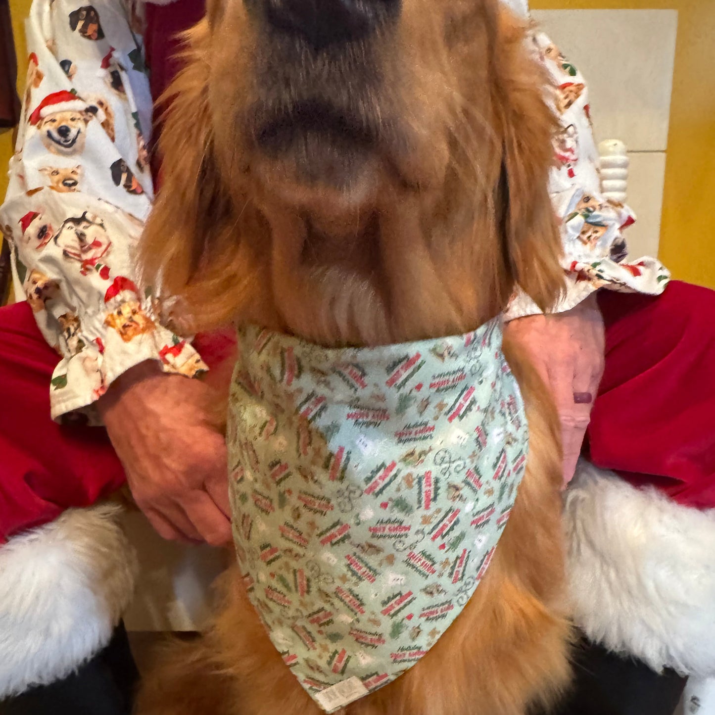 Holiday Supervisor