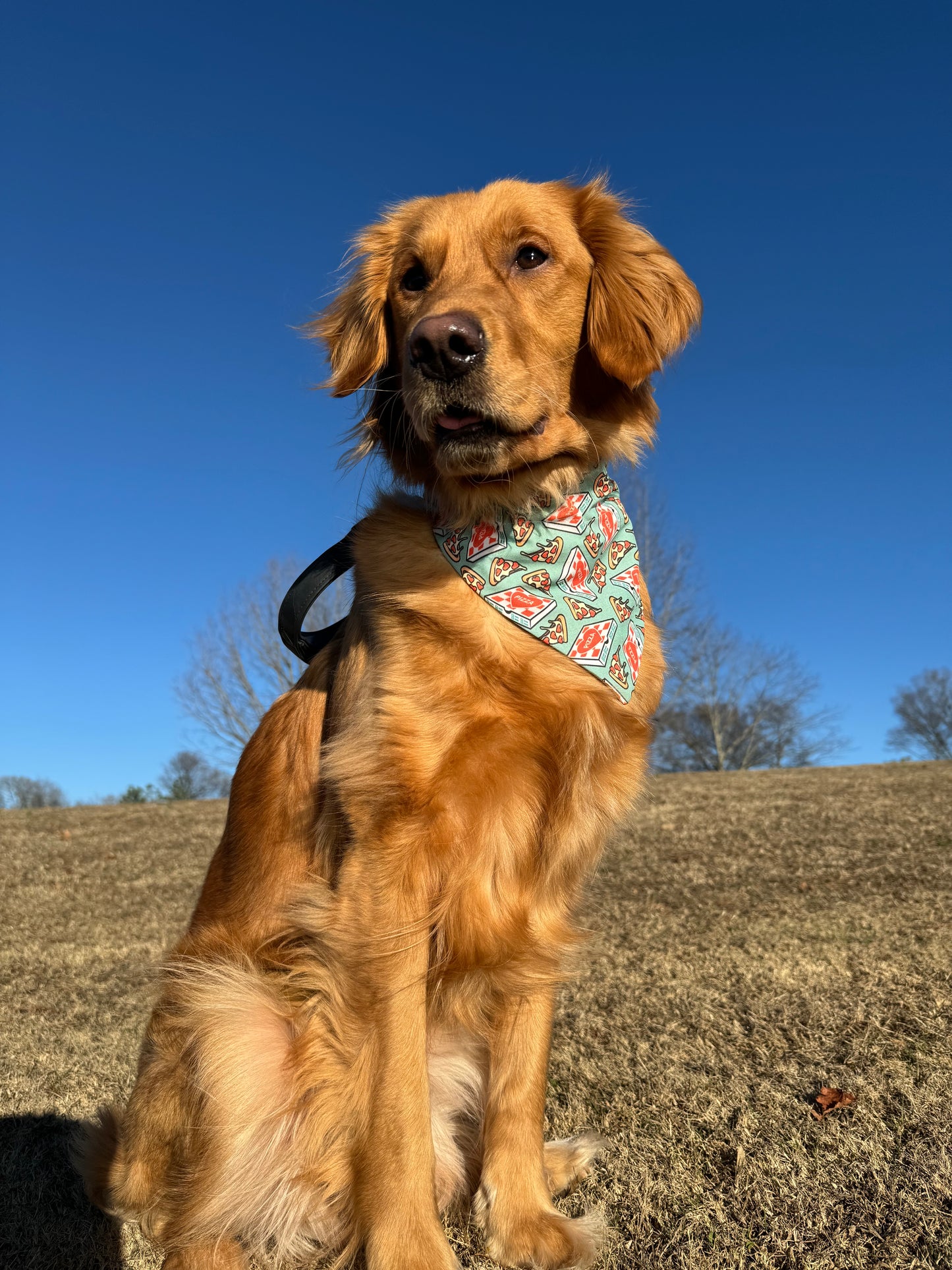 You Have A Pizza My Heart