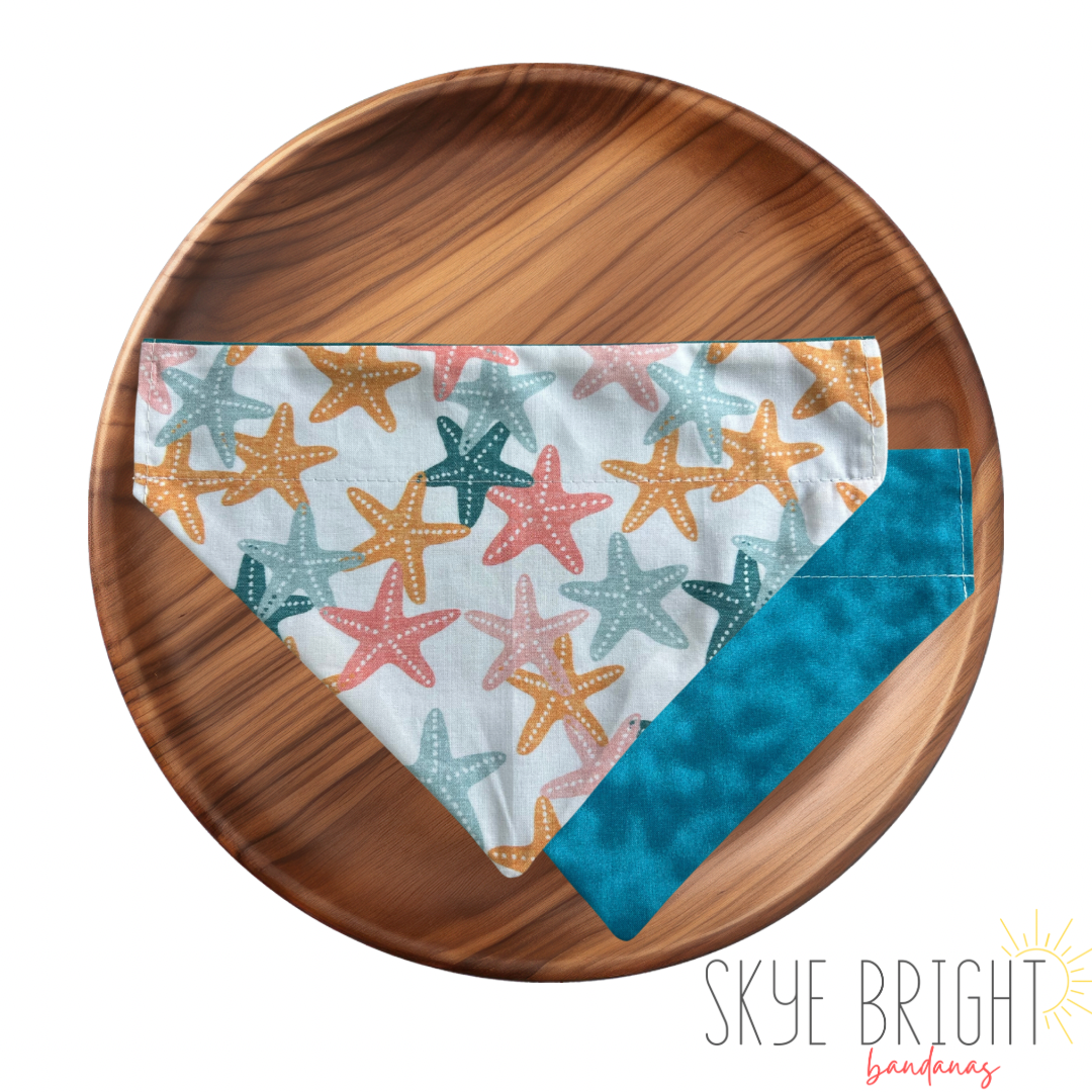 Sand Dollar Lover