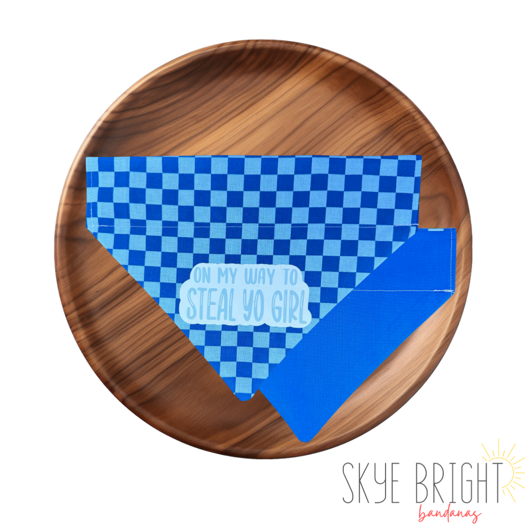 On My Way To Steal Your Girl Vinyl