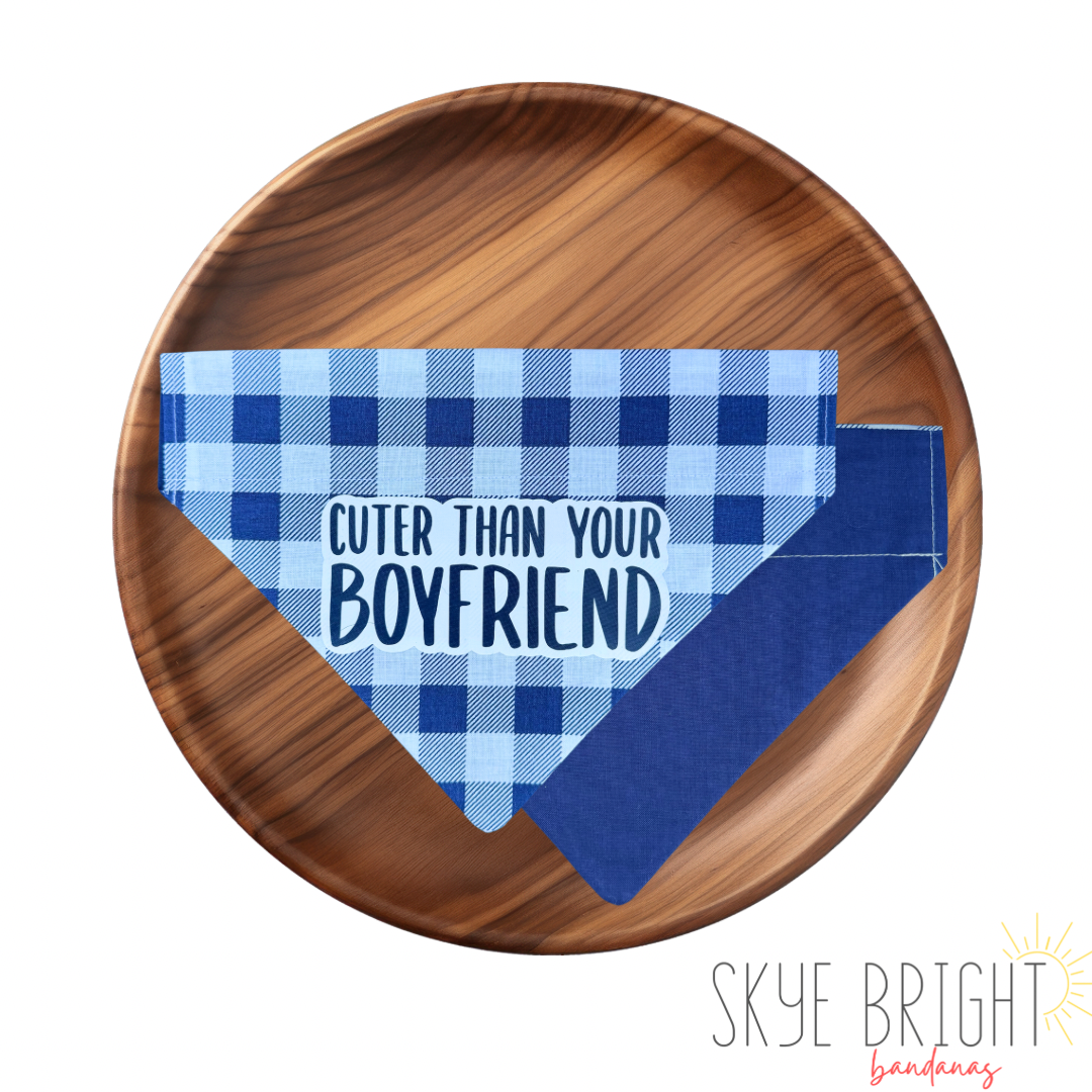 Cuter Than Your Boyfriend Vinyl