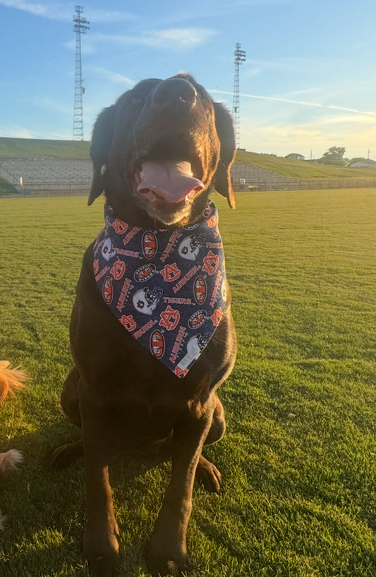 Go Tigers!