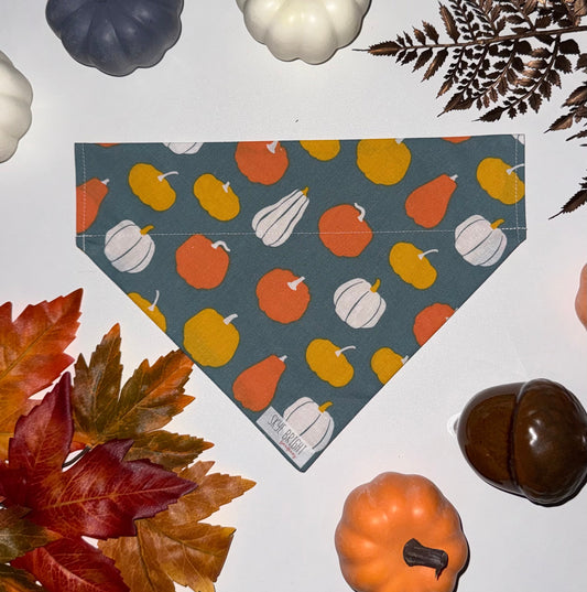 Denim Pumpkin