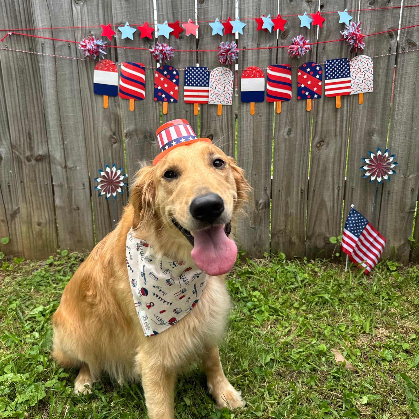 Backyard Cookout