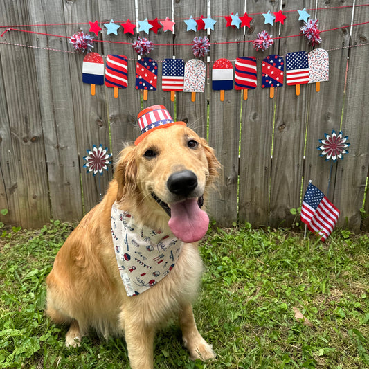 Backyard Cookout