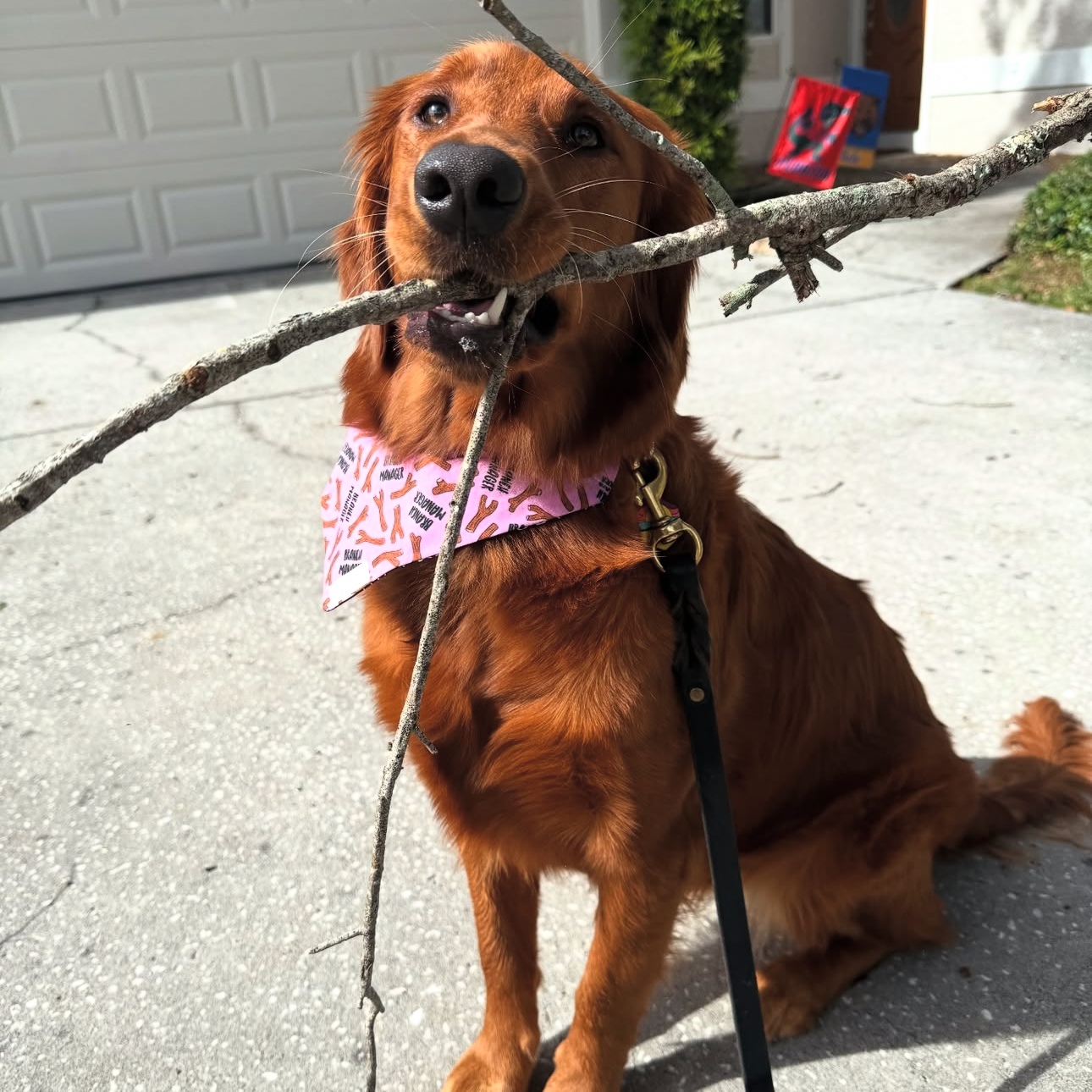 Branch Manager