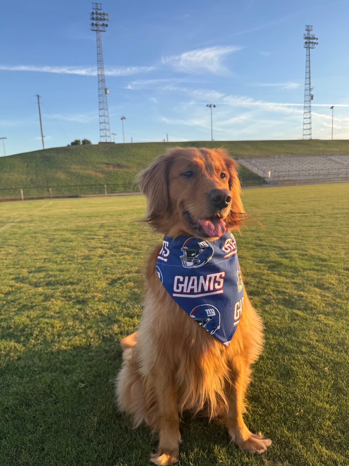 Go Giants!