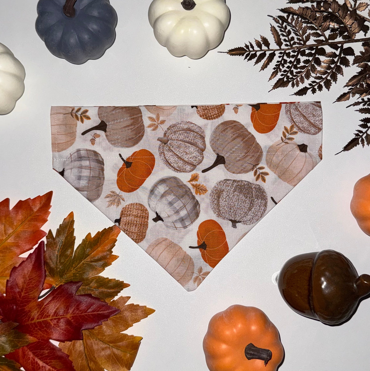 Fall Bows