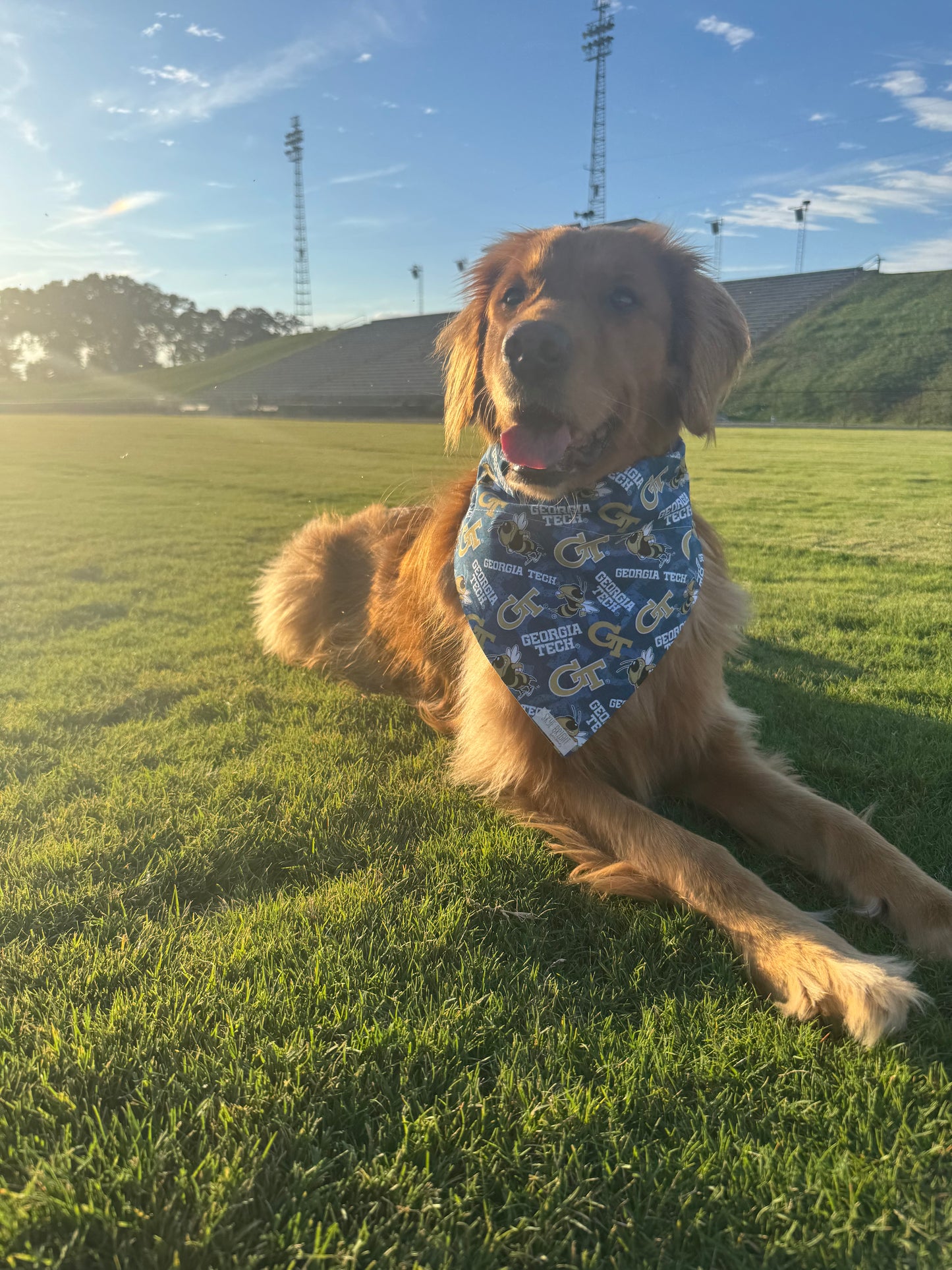 Go Georgia Tech!