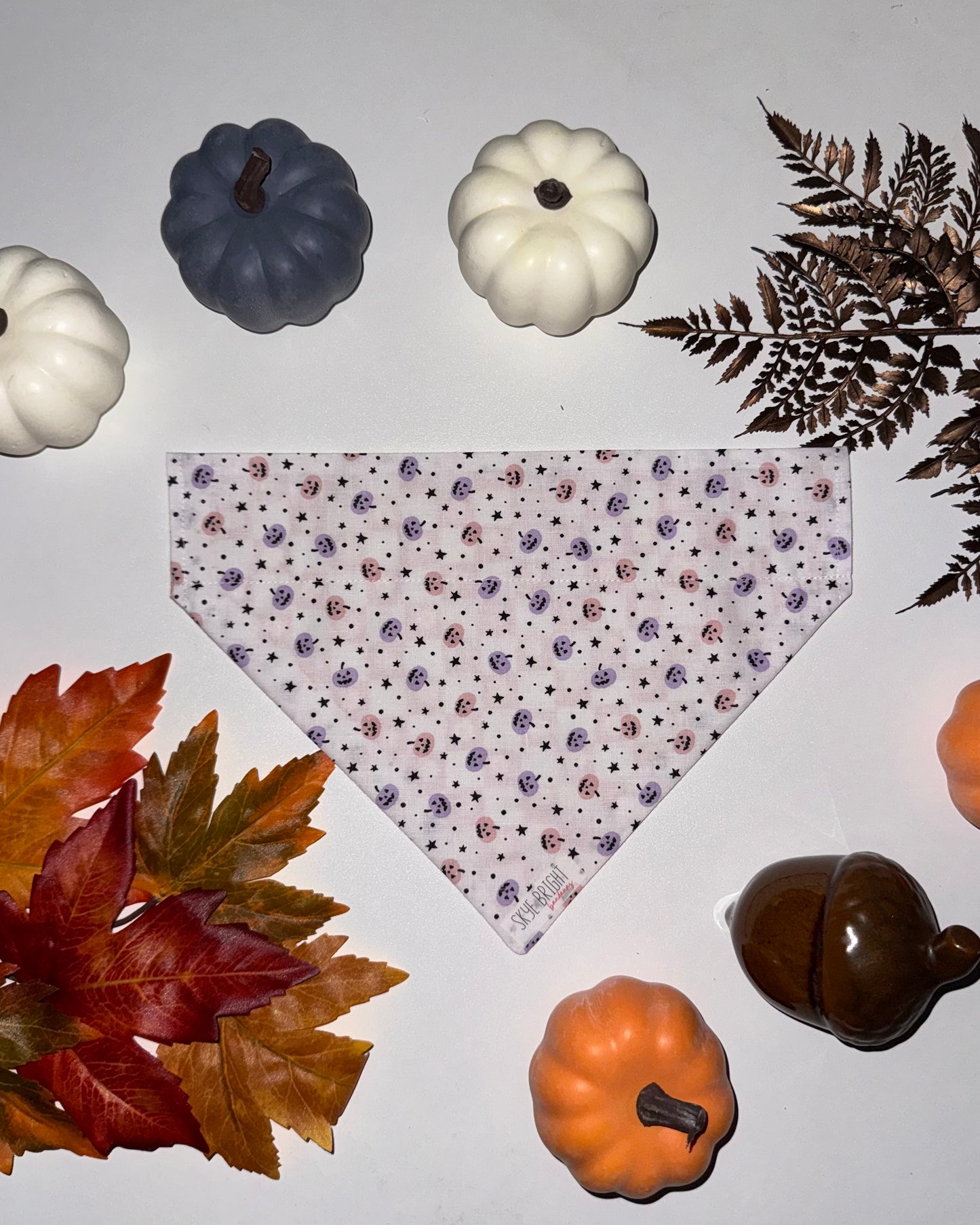Starry Pumpkin