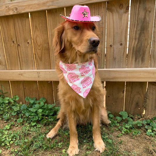 In Dolly We Trust