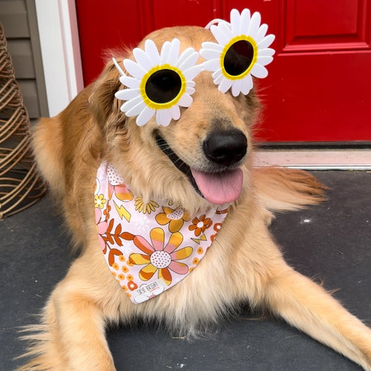 Flower Power
