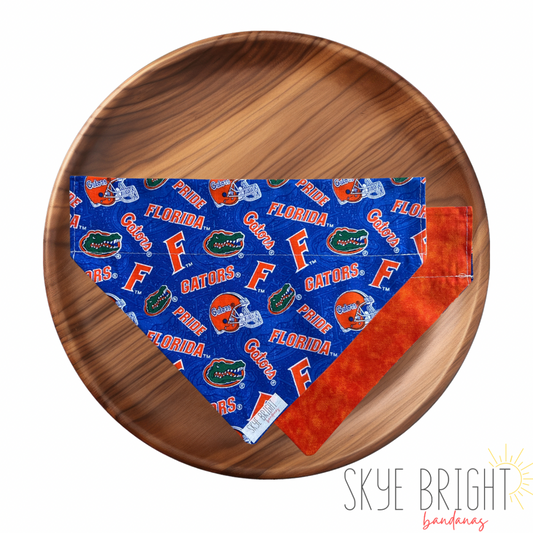 Go Gators!