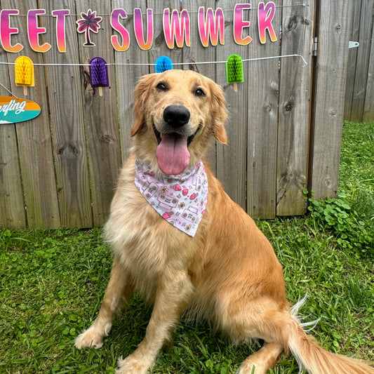 Girlie Pop Summer