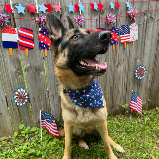 Lick Of Freedom