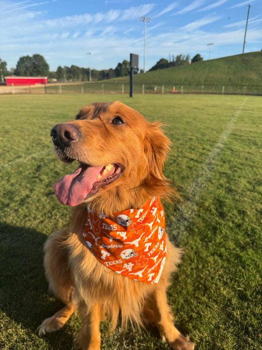 Go Longhorns!