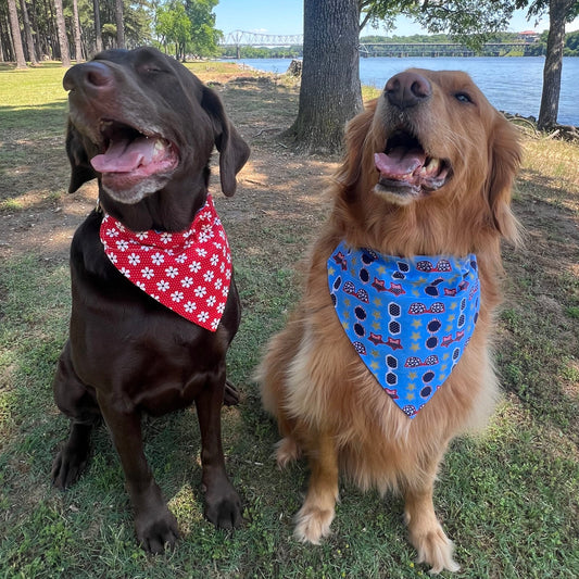 Patriotic Shades