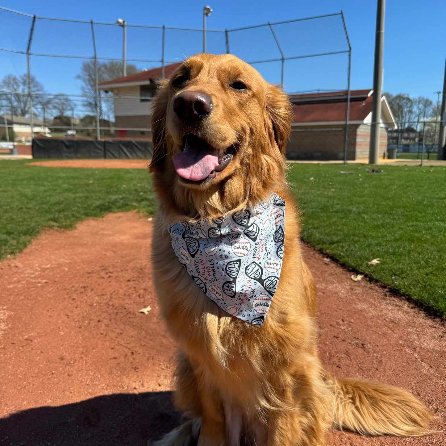 You’re Killing Me Smalls