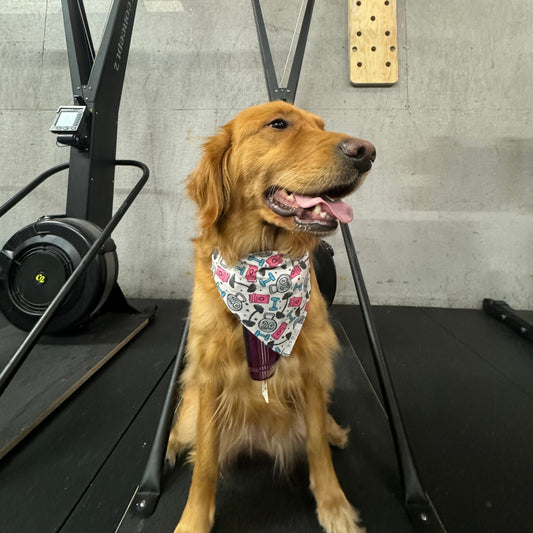 Workout Partner