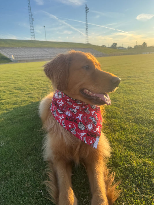 Go Bama!
