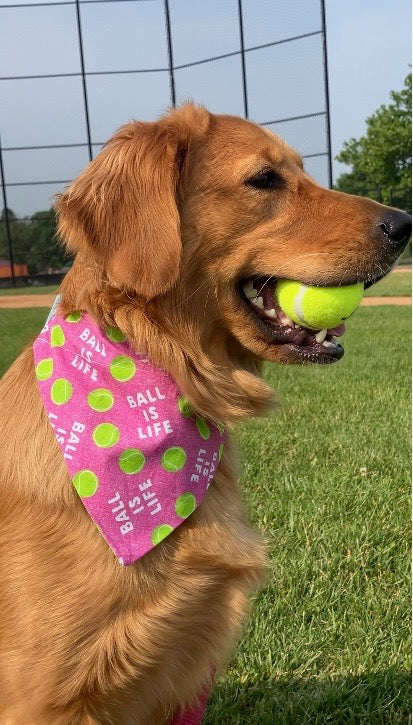 Ball Is Life