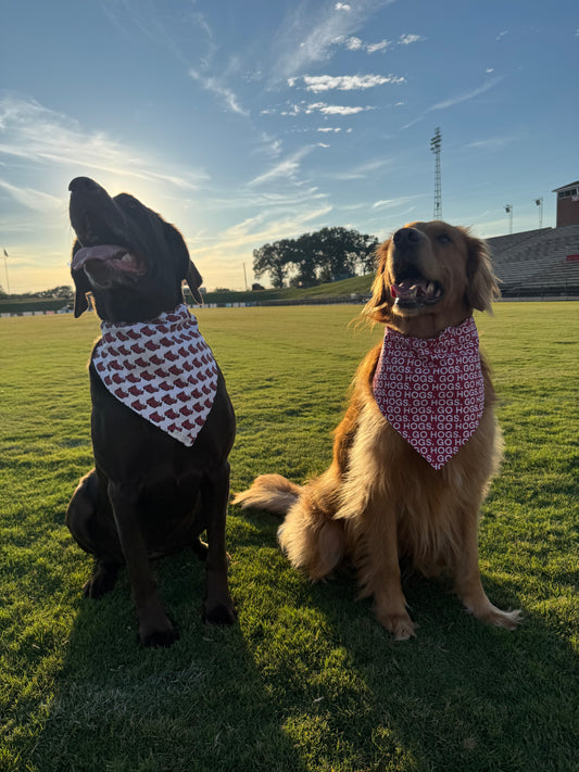 Go Hogs!