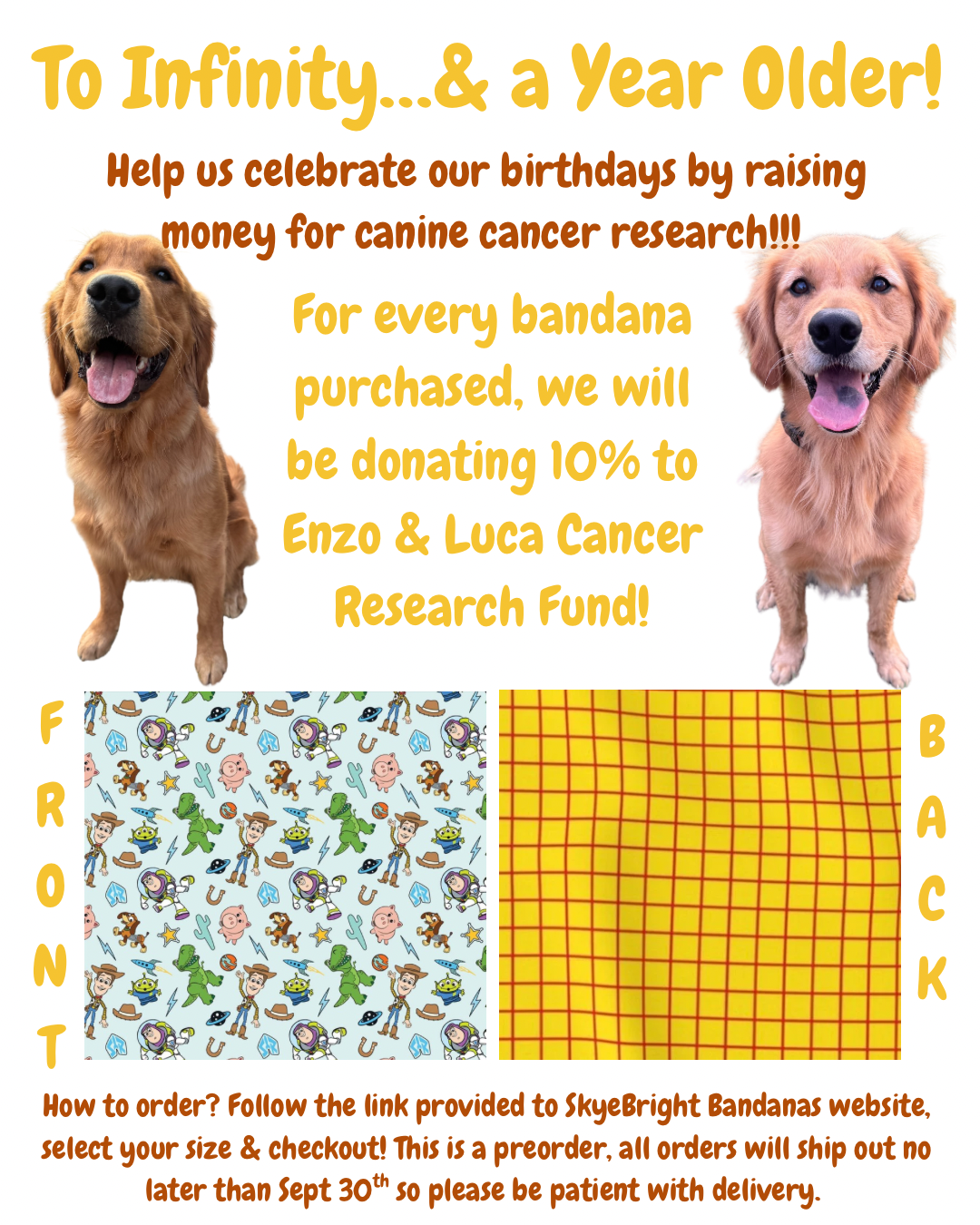 Olly & Toffee’s Bday Bandana