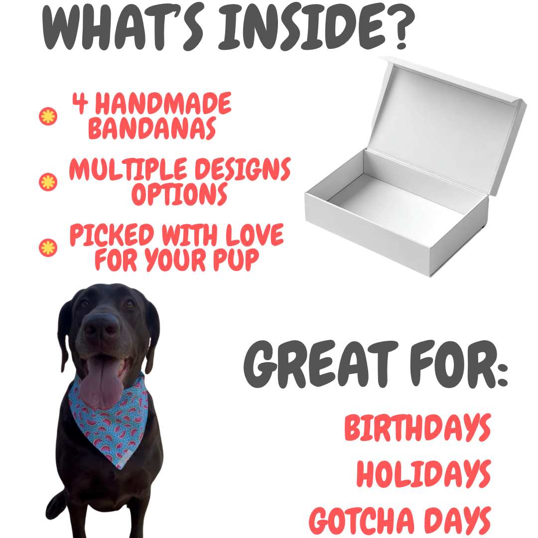 Mystery Bundle