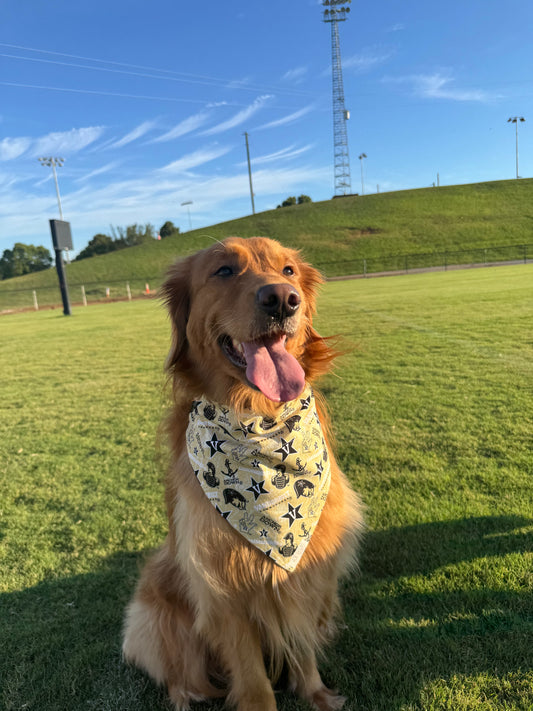 Go Vandy!