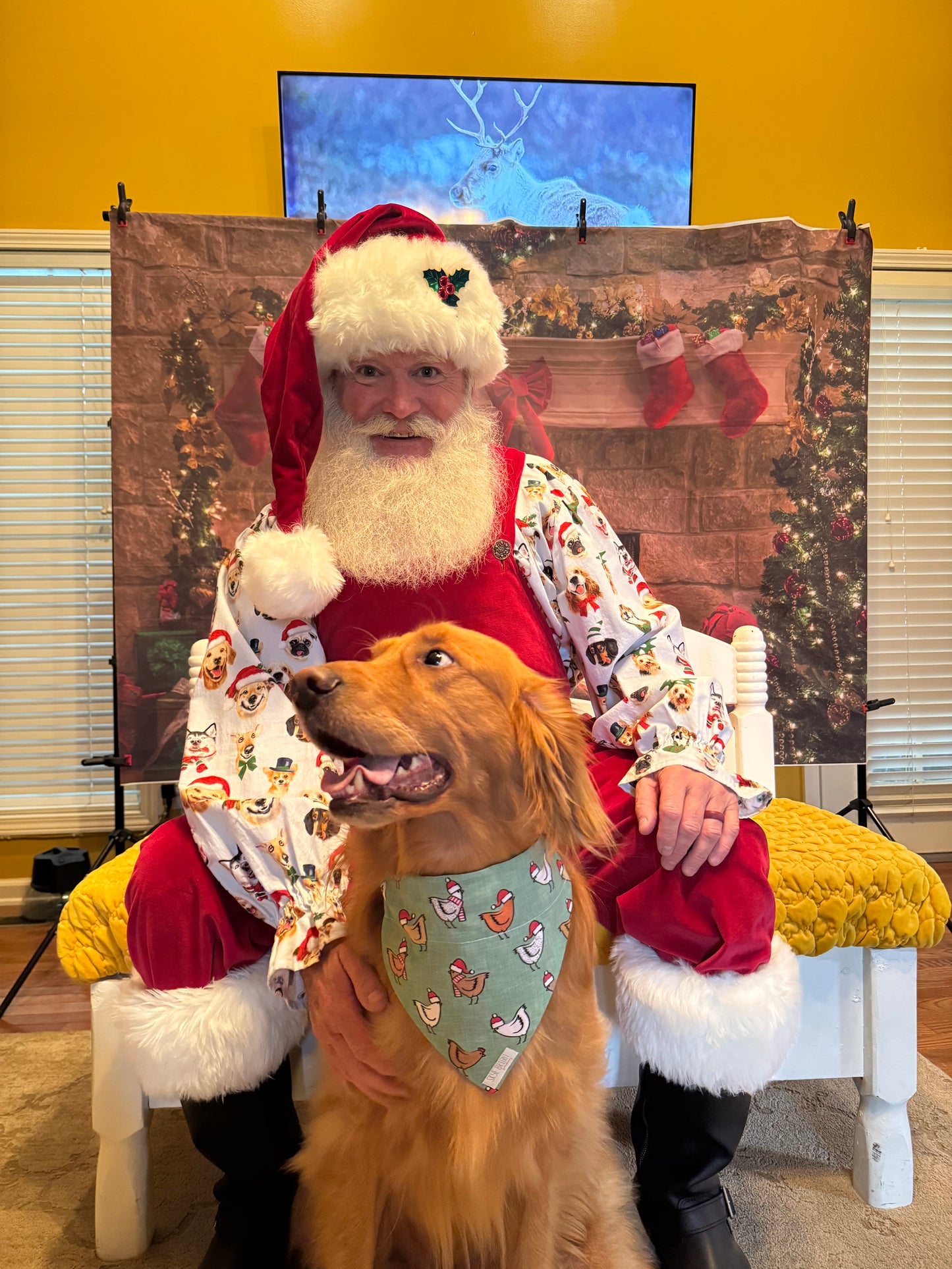 One Chicken Two Chicken