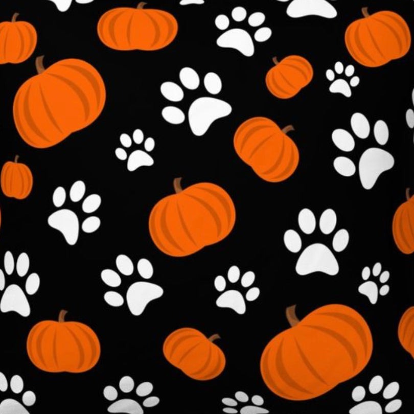 Pumpkin Paw Prints